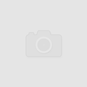 HARLEY-DAVIDSON FLHTC ELECTRA GLIDE CLASSIC 2002