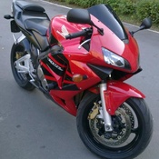 HONDA CBR 600RR 03